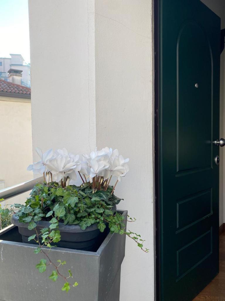Casapenelope * Mestre